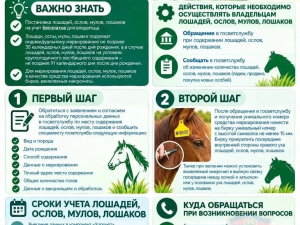 Памятки владельцам ЛПХ о постановке на учет в компонент «Хорриот»