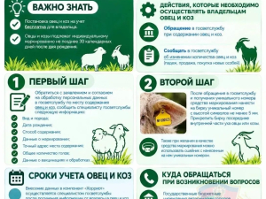 Памятки владельцам ЛПХ о постановке на учет в компонент «Хорриот»